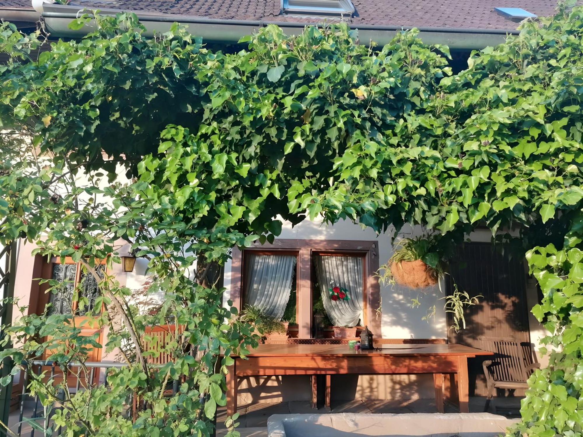 Room In Guest Room - Double Room Apple Blossom Schuttertal Bagian luar foto